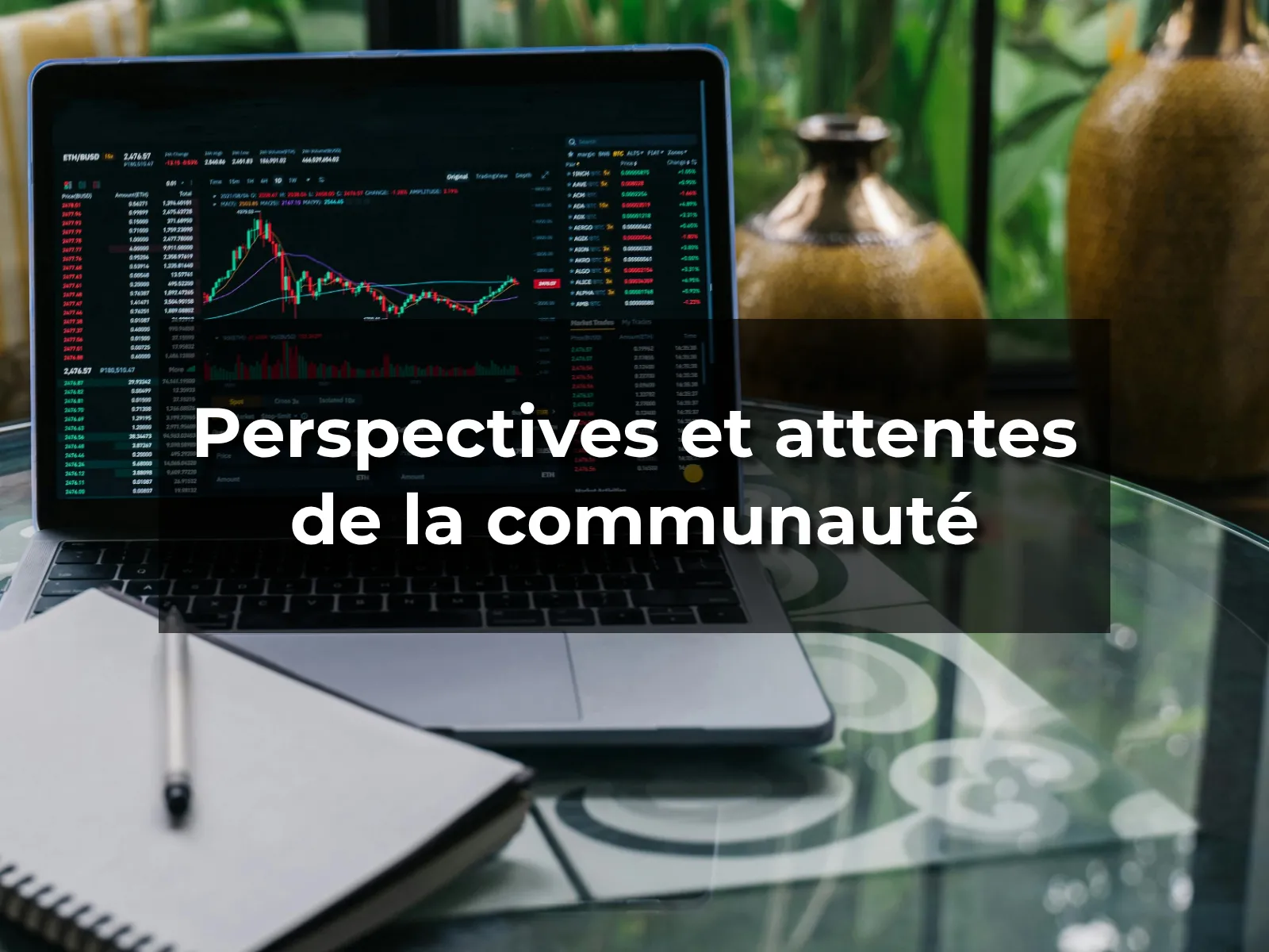 Perspectives et attentes de la communauté