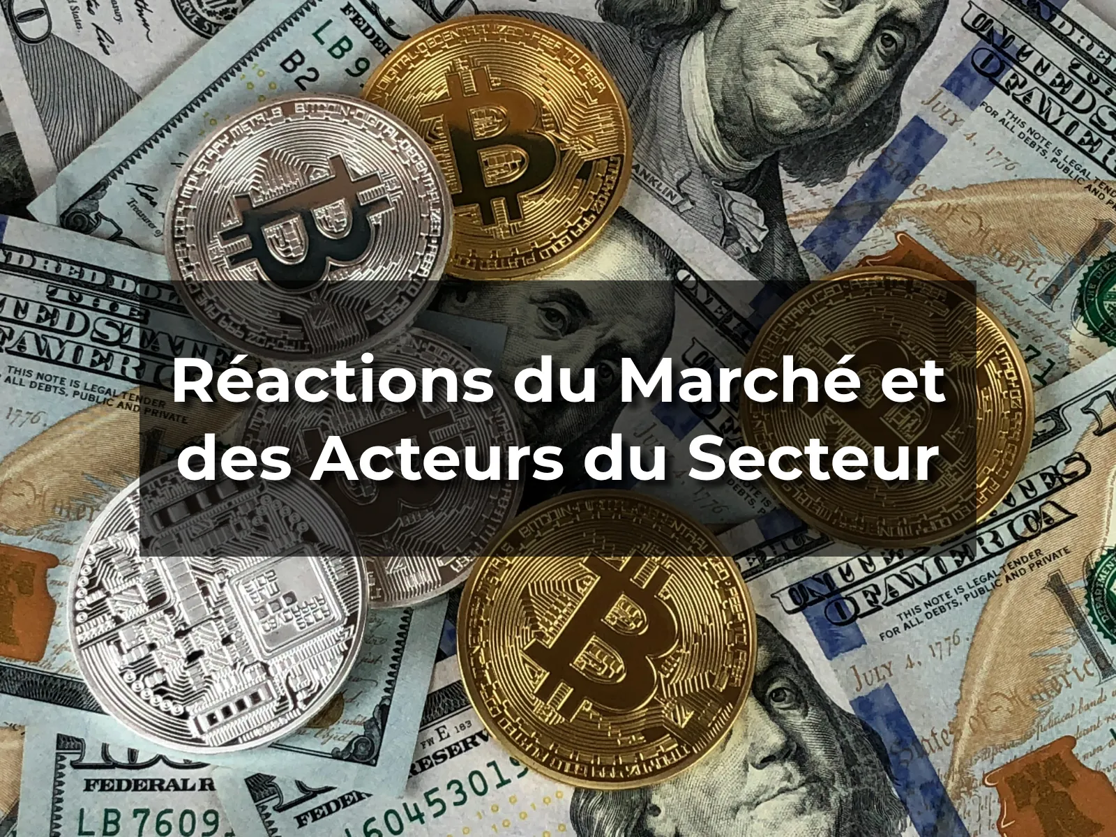 Réactions du Marché et des Acteurs du Secteur